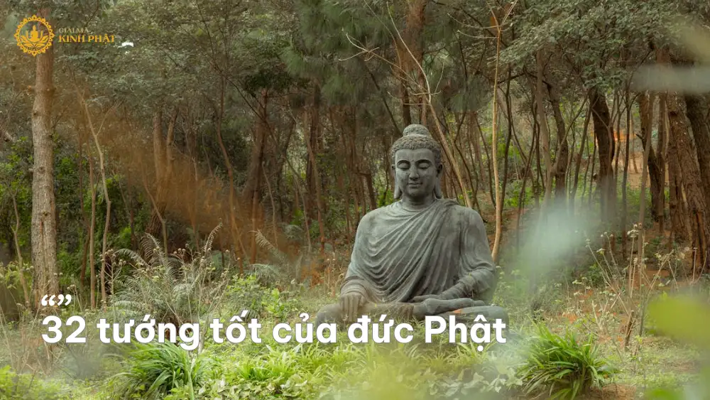 32 Tướng Tốt và 80 Vẻ Đẹp Phụ của Đức Phật
