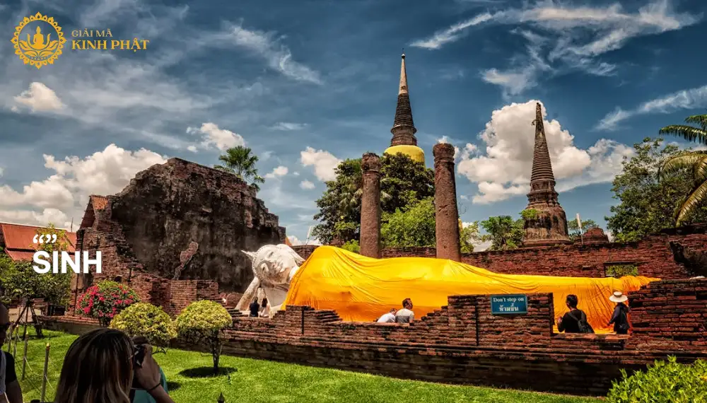 Sinh là gì? Sinh ra để làm gì? 