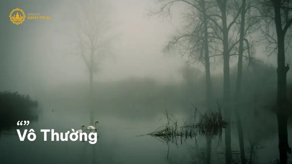 Vô Thường – Tuệ giác về sự biến đổi của vạn pháp
